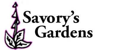 Savory's Gardens