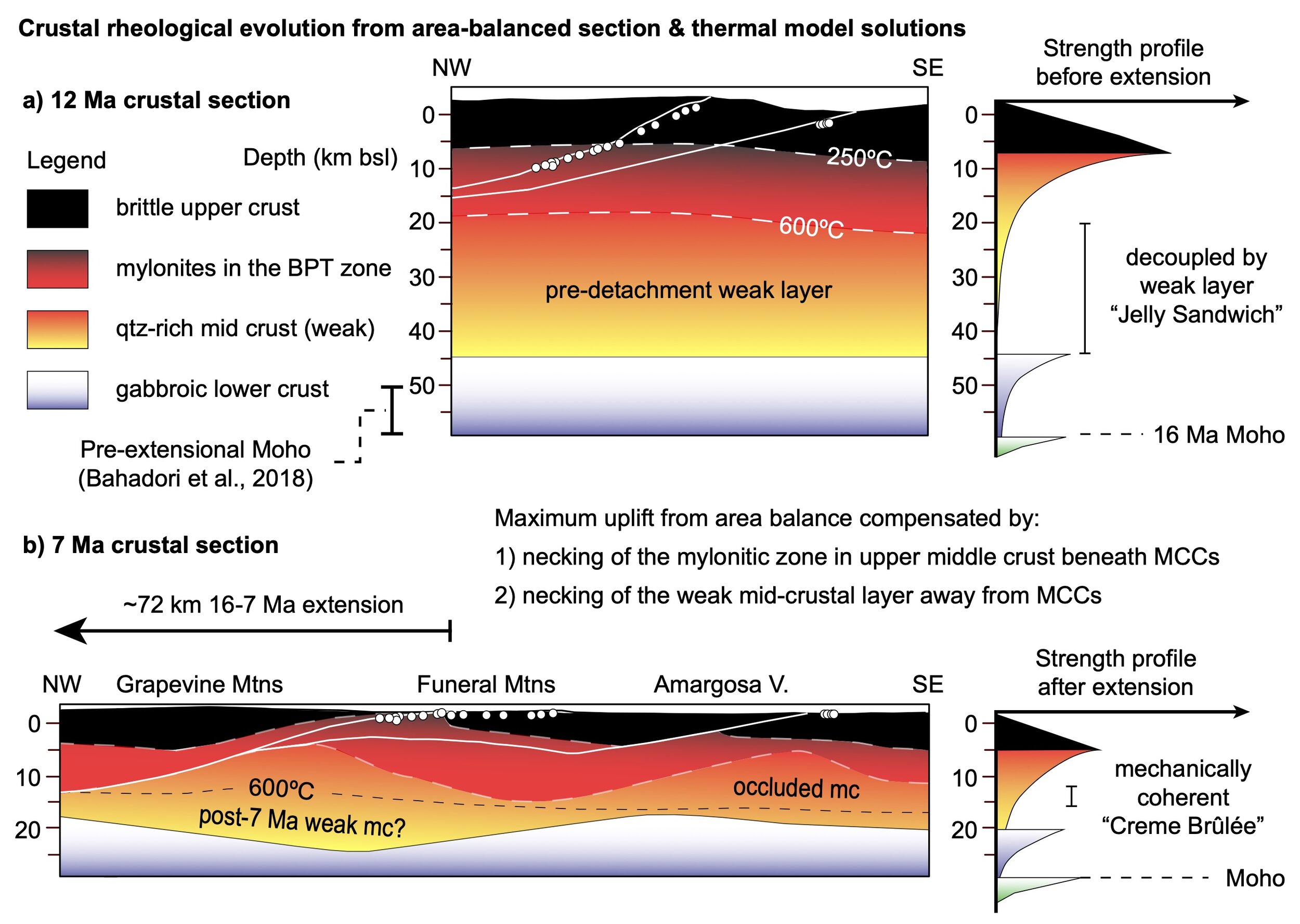 Fig13_occlusion_22.5h.jpg