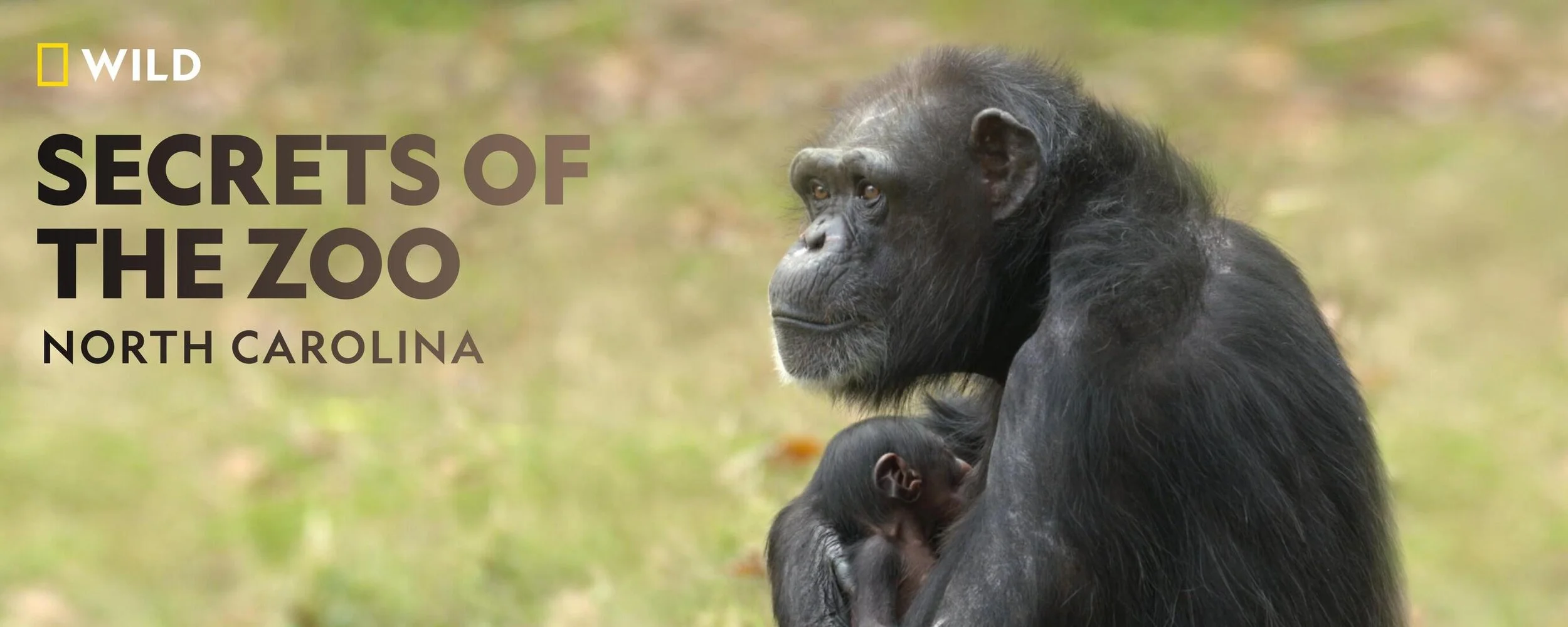 NAT GEO WILD | Secrets of the Zoo: NC 