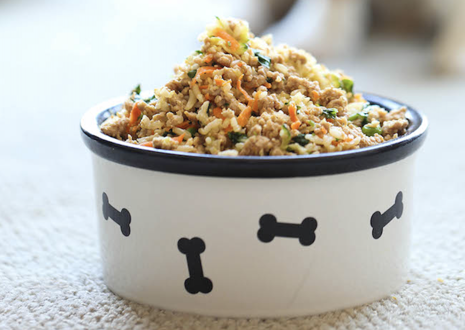 TailsOfTheCity_CookForYourPet2.png