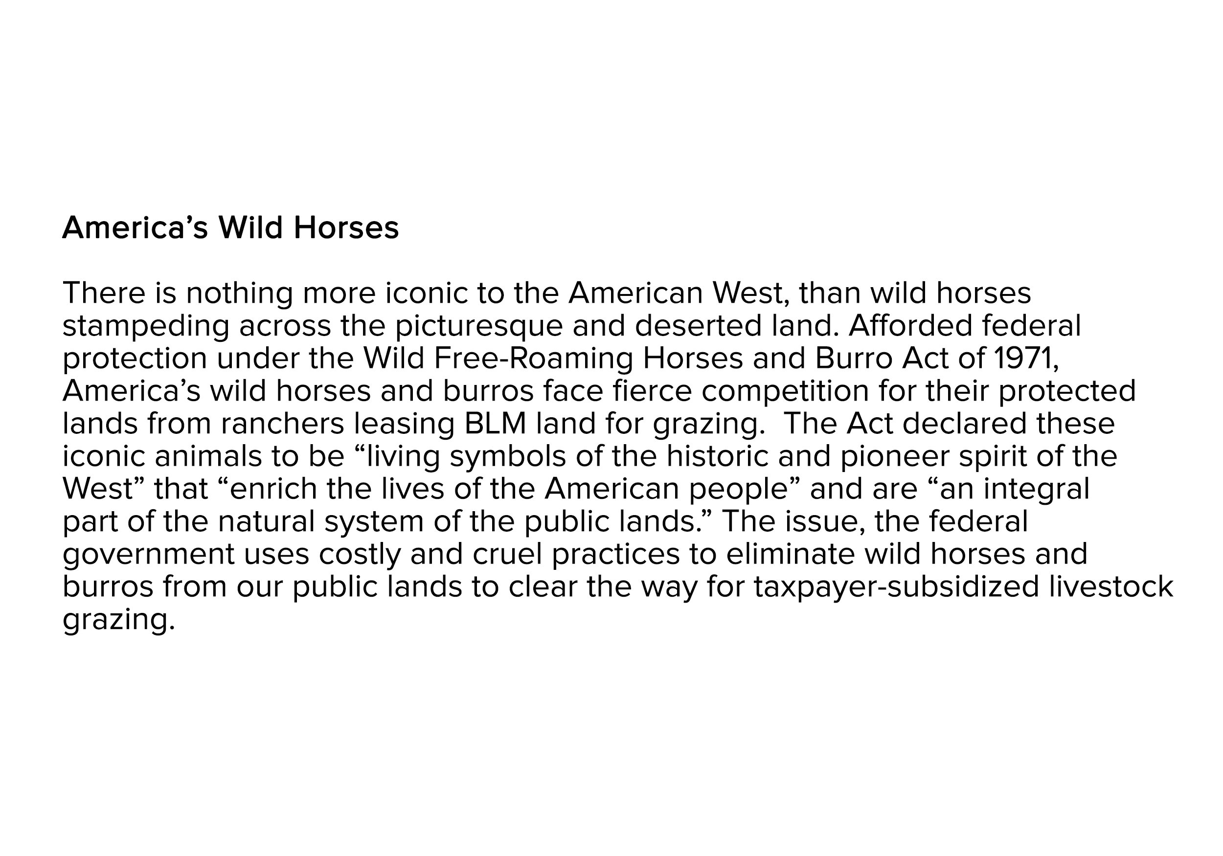 Ameirca's Wild Horses Text.jpg