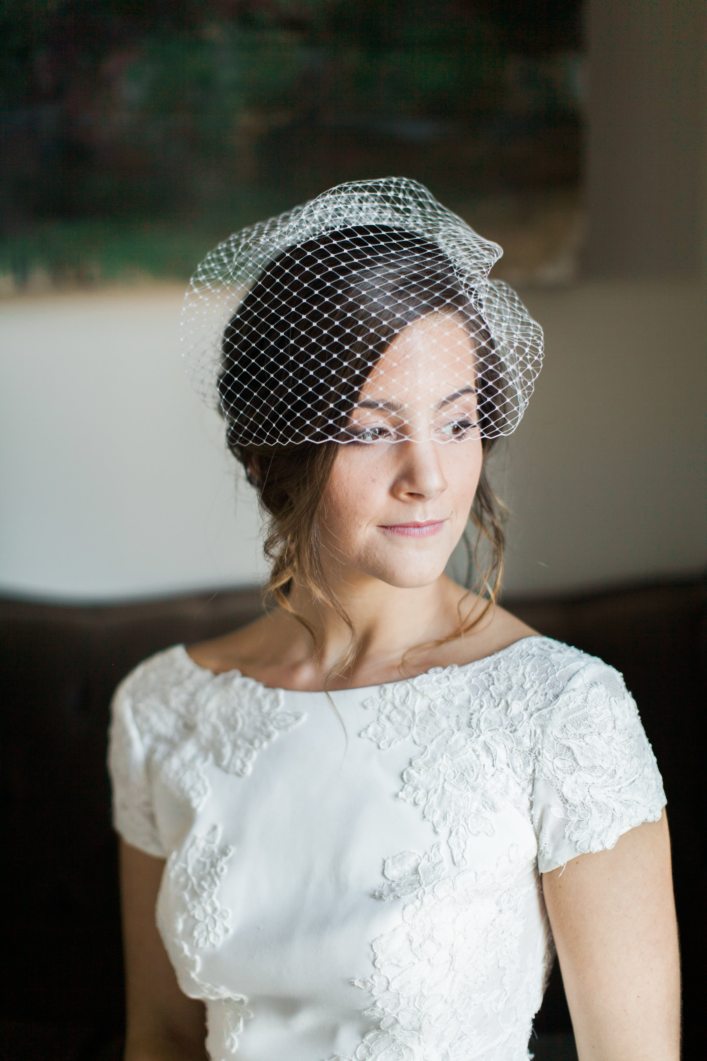 Bridal Birdcage Veil