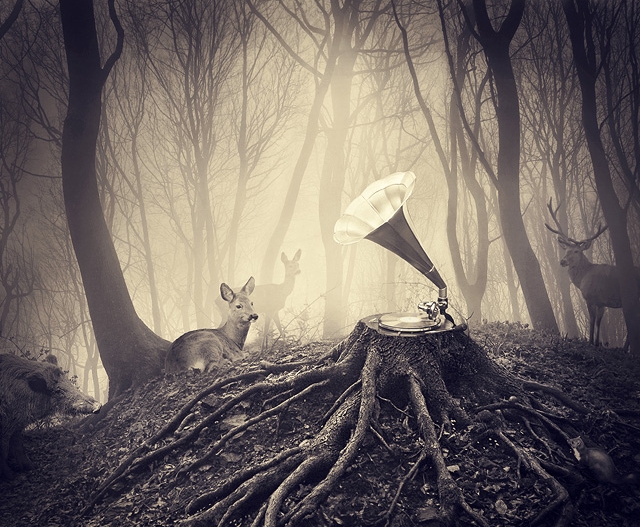 Deer in forest with record player.jpg