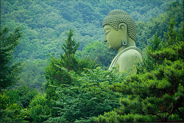 ForestBuddha.png