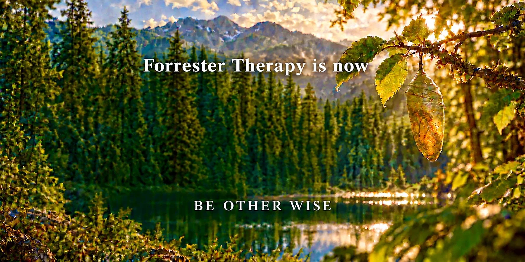 Chrysalis Forest Banner with White Text.jpeg