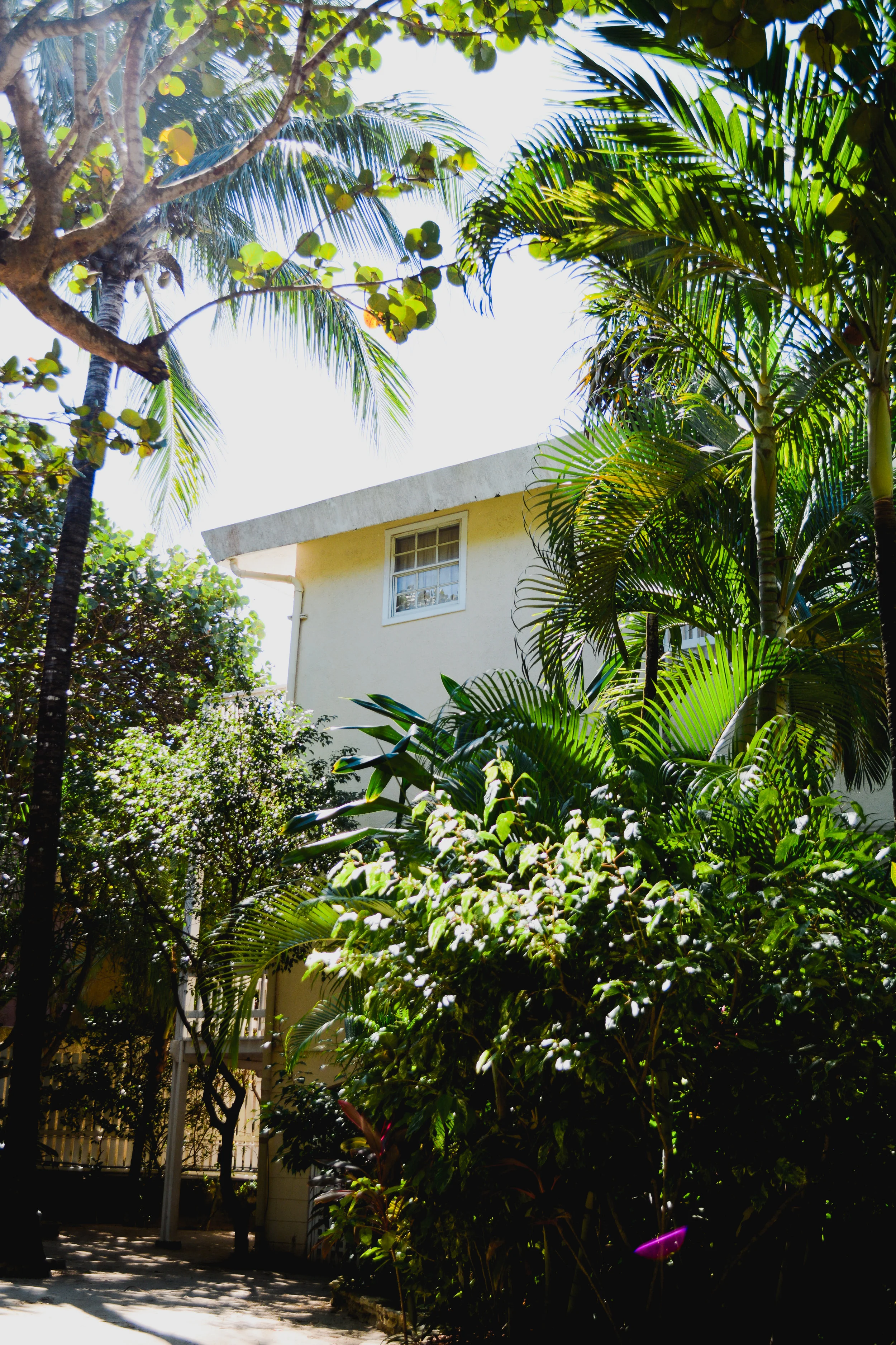 DSC_0025.jpg