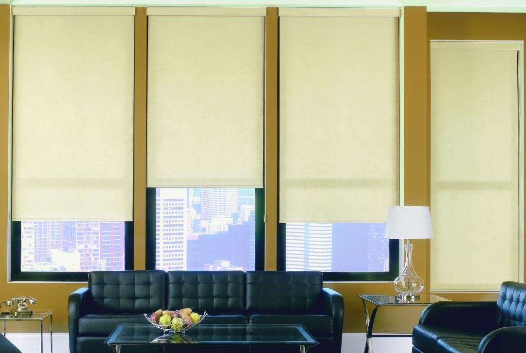 rollershades 4.jpg