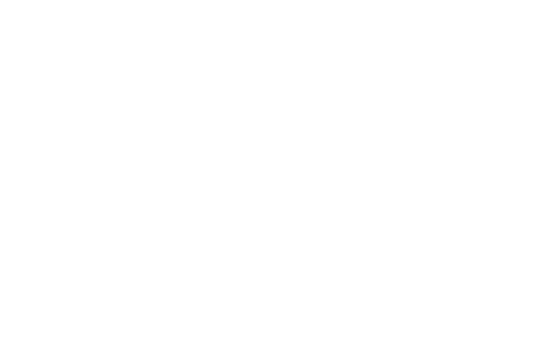 OFFICIAL+SELECTION+-+CINE+SIN+CINE+Michoacn+Mxico+-+2019.png