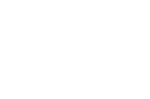 OFFICIAL+SELECTION+-++++++Phenomena++++++++++++++++Festival++++++++++++So+Paulo+Brazil+-+2018+(1).png