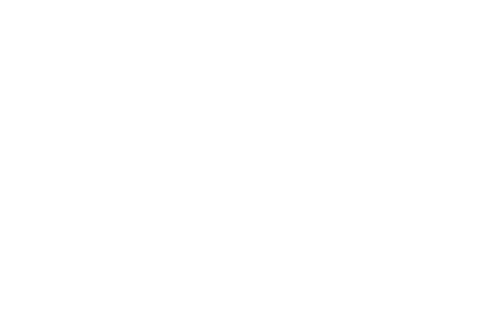 OFFICIAL+SELECTION+-+March+on+Washington+Film+Festival+-+2018.png