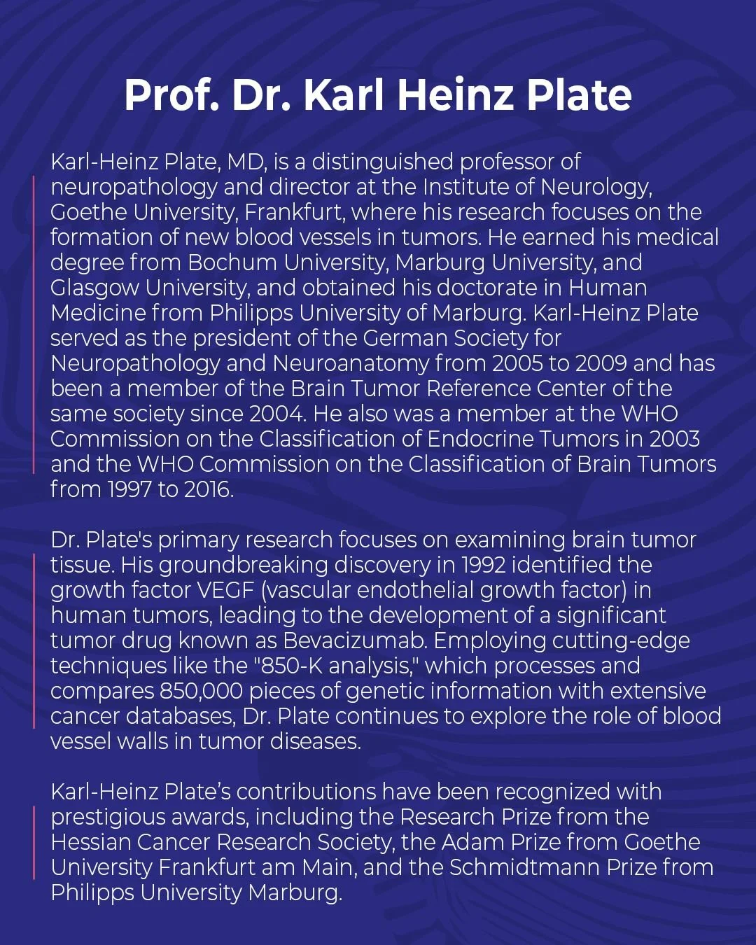 WhatsApp Image 2024-03-05 at 22.44.37.jpeg