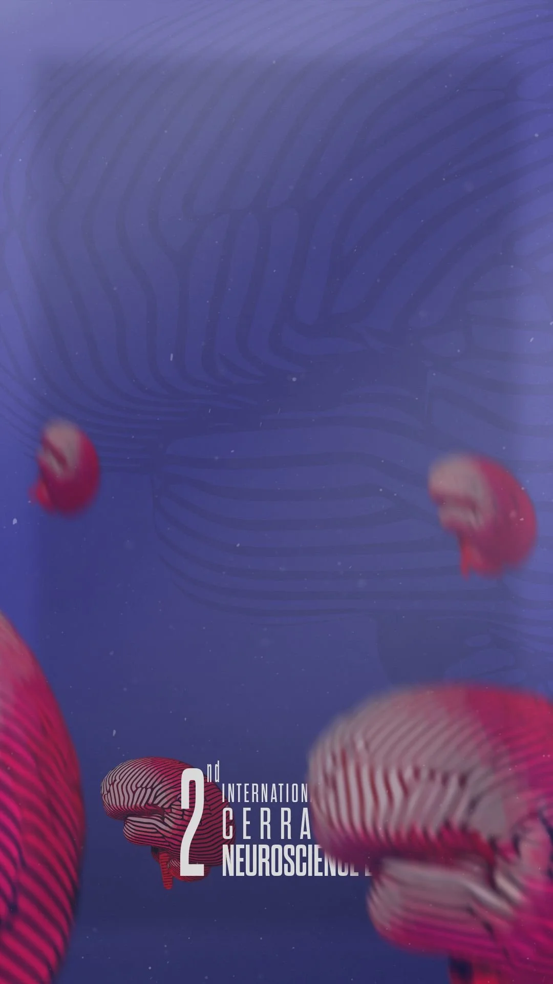 WhatsApp Image 2024-03-27 at 21.40.03.jpeg