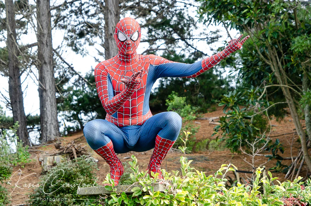 spiderman.jpg