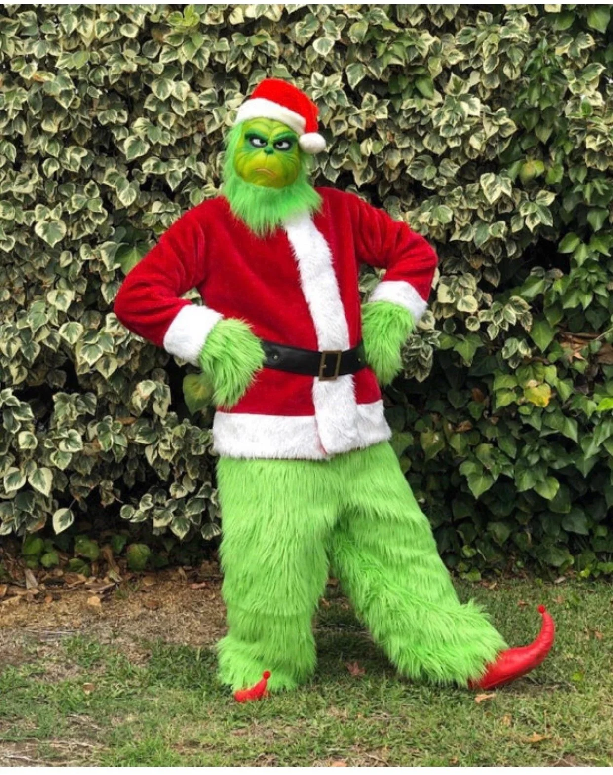 use this grinch.jpg