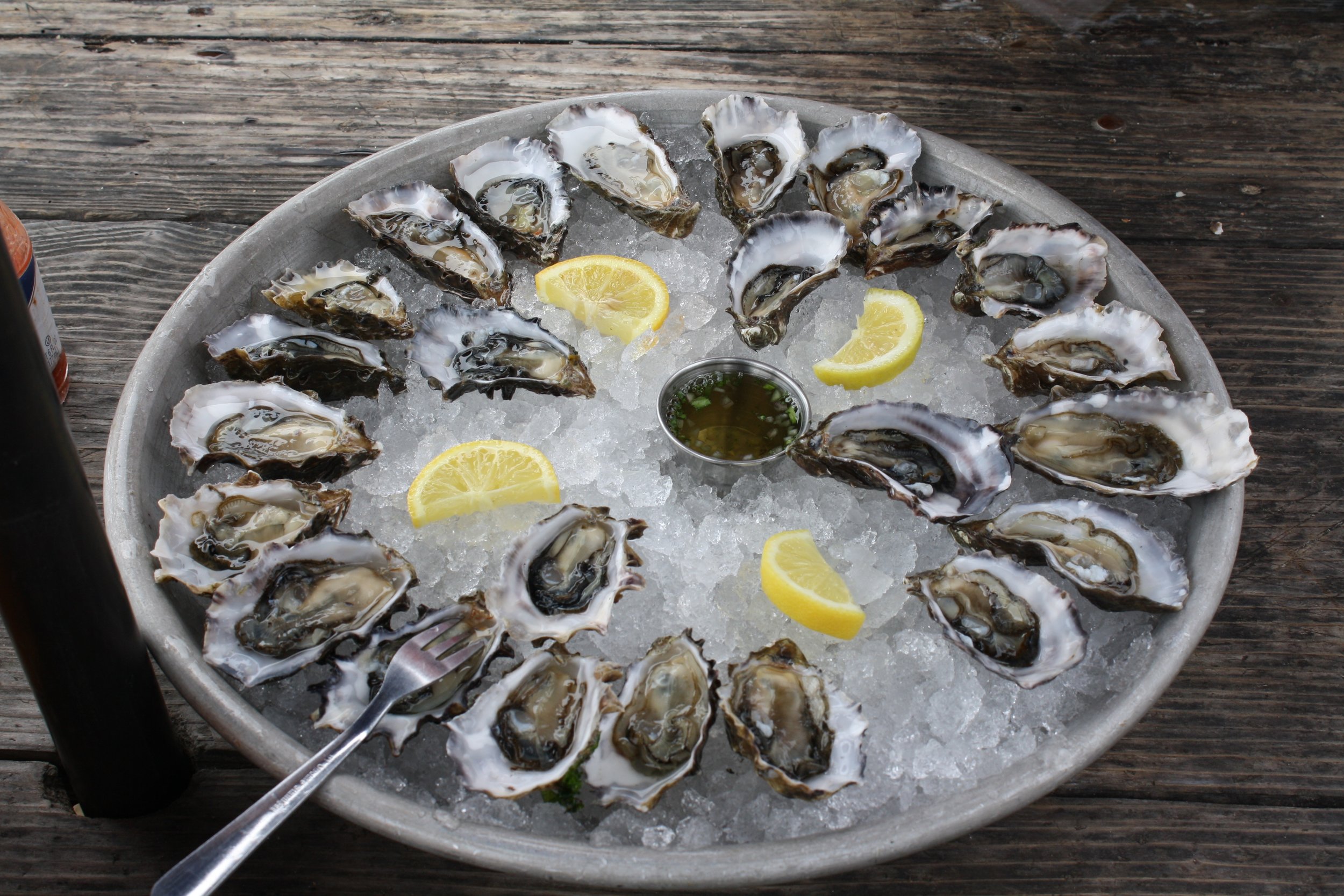 oysters-734484.jpg