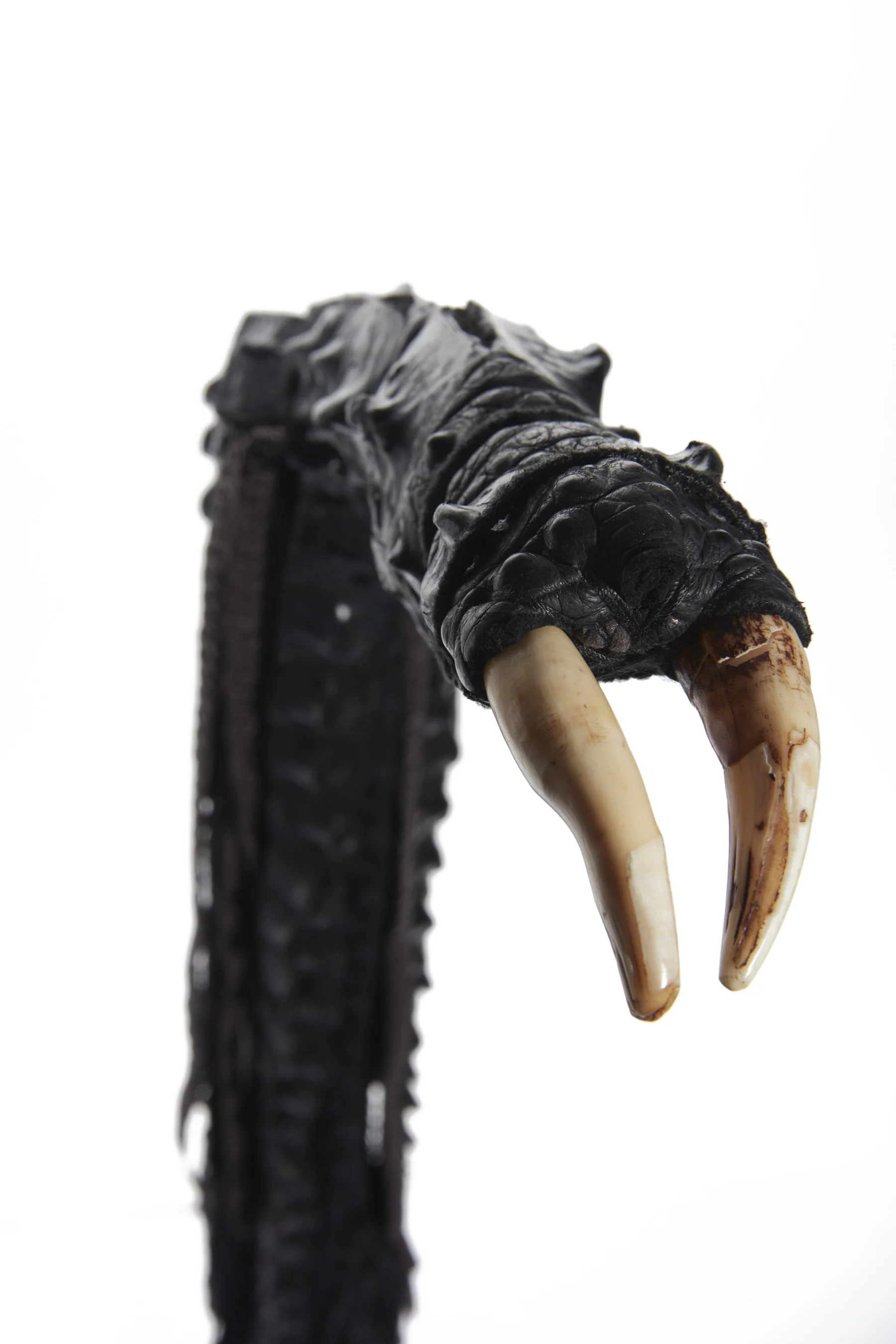 190124_N1NY_Whip_01_020.jpg