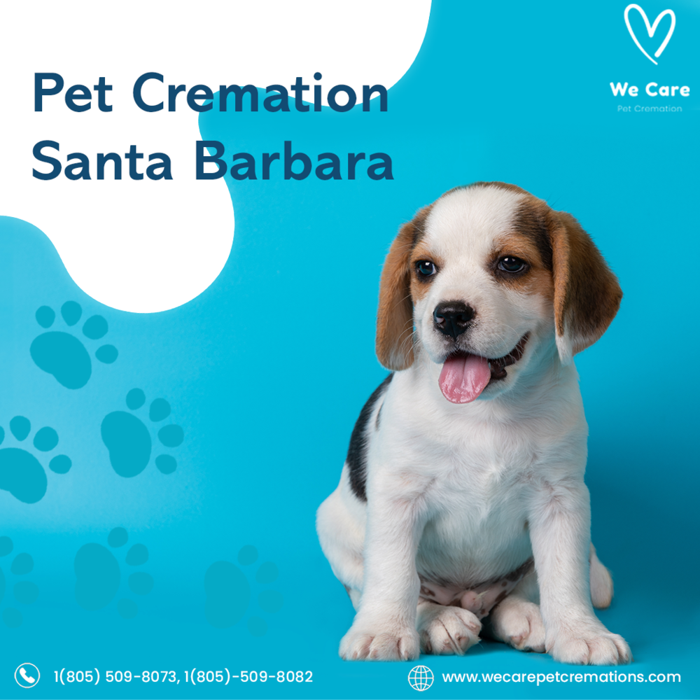 pet cremation center peebles pet services oakland tn funeral home and cremation on pet crematory services near me