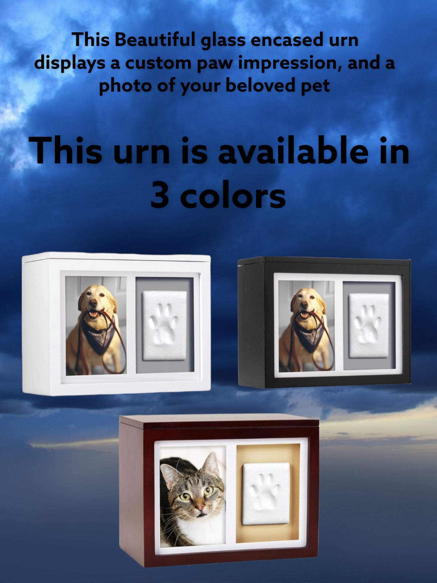 Individual Pet Cremation, reptiles, all pet Cremations Los Angeles