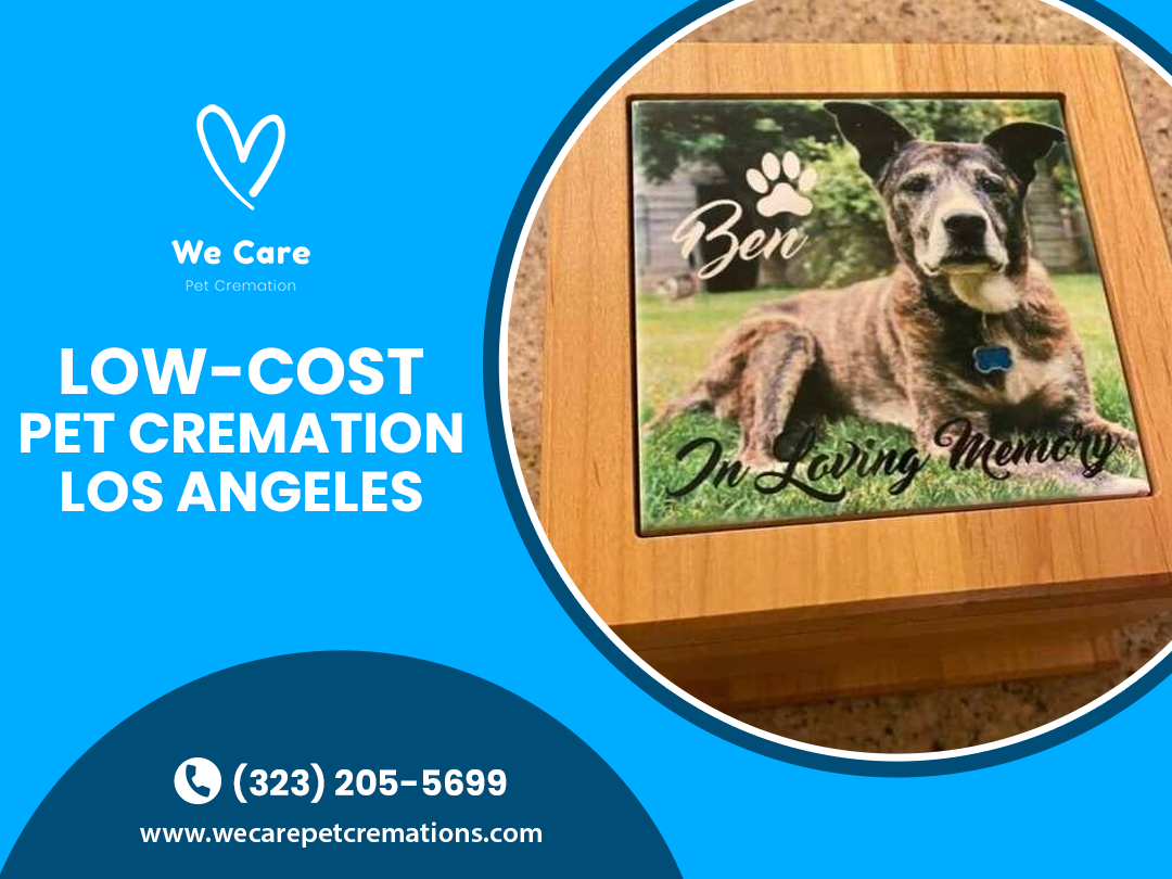 Cremation Services Cemetery For Dogs Near Me Pet Burials Forever