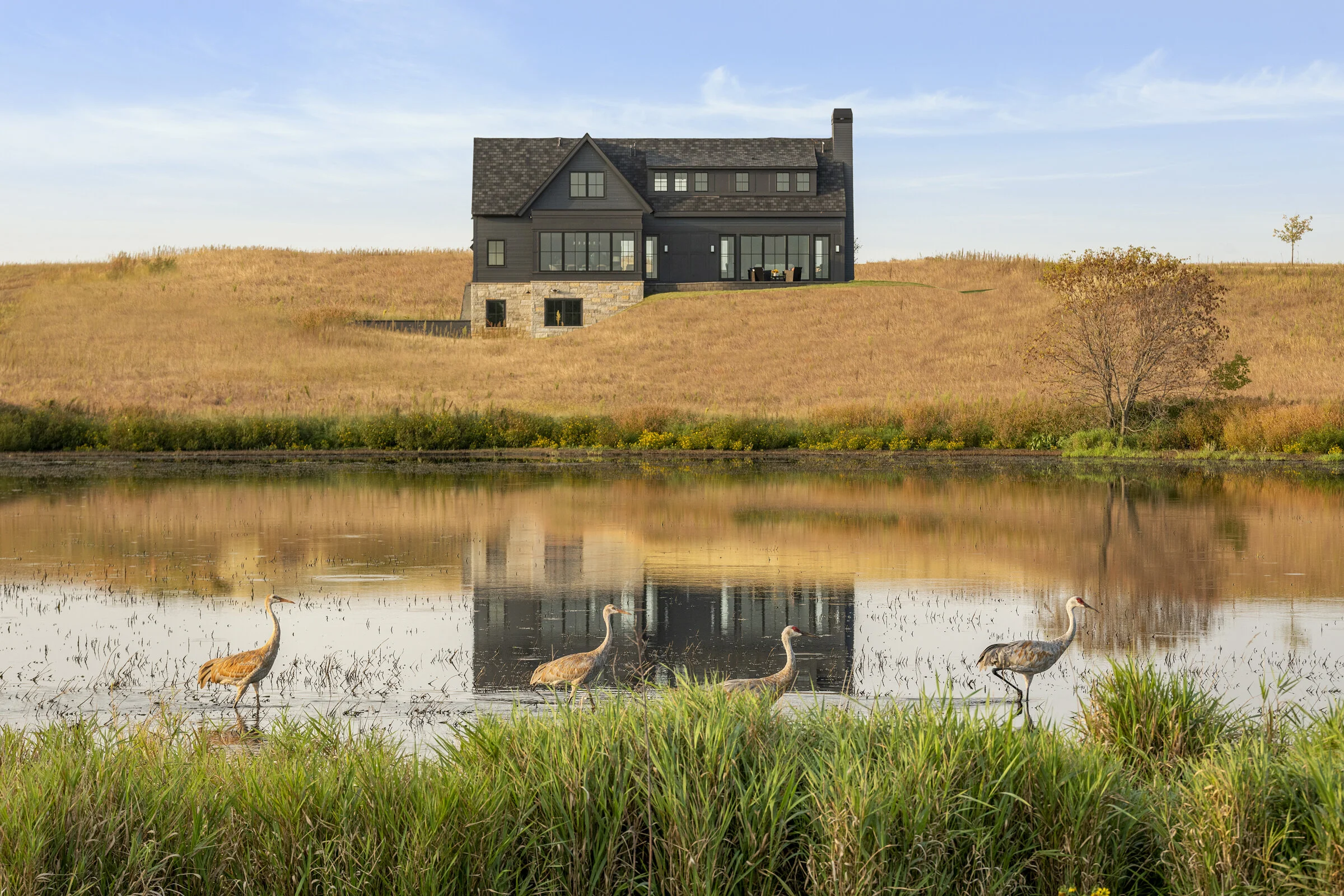 Eye-Land Featured by American Institute of Architects