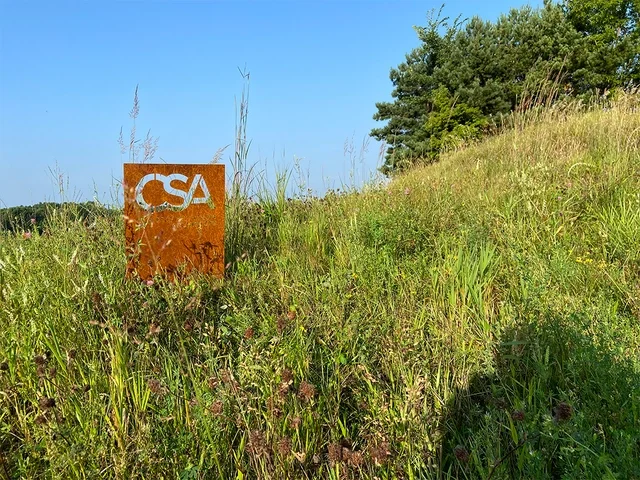 11 years of CSA!