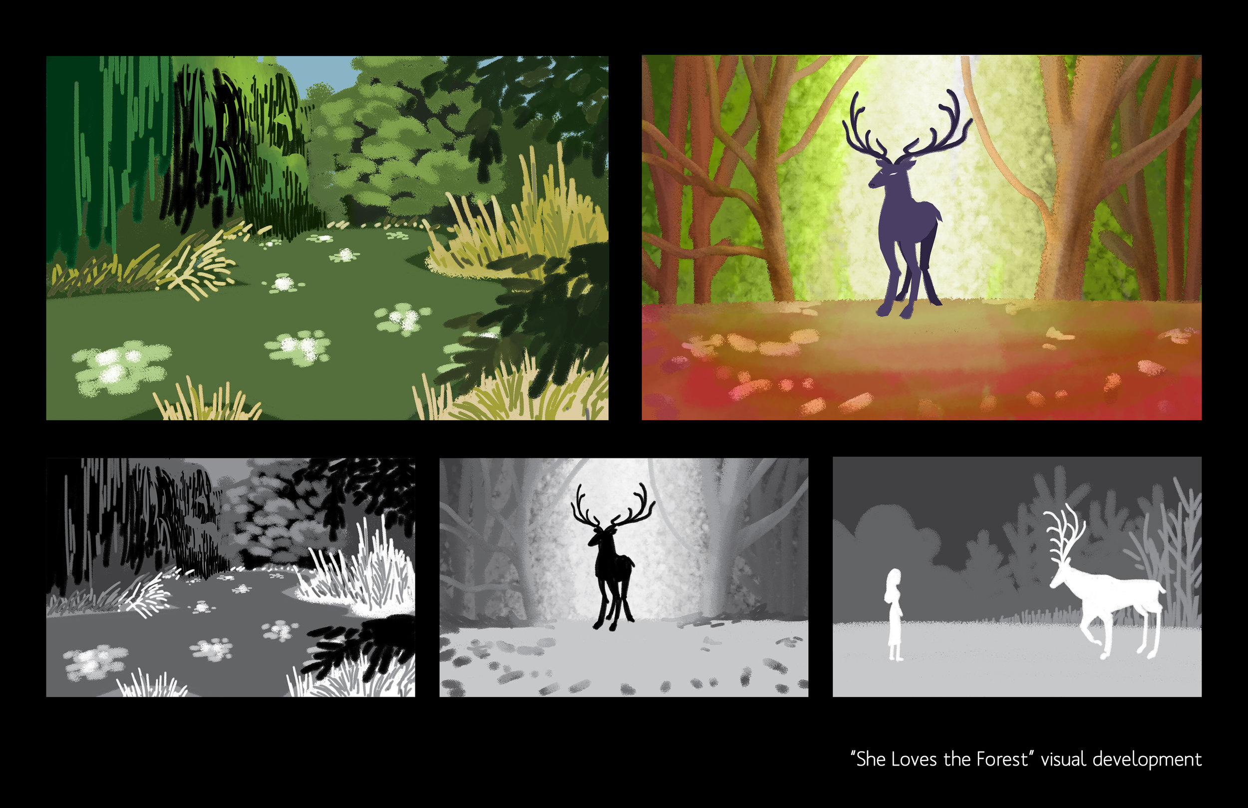 Forest_visdev.jpg