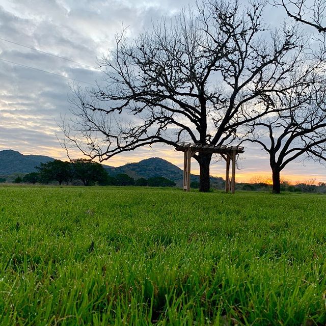 Picturesque setting to &ldquo;Tie-The-Knot&rdquo; 👰 🤵 🙏🏻
Wedding photos coming soon...
#jnlranch
#texaswedding
#texashillcountry