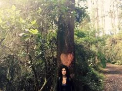 Celebrate the Harvest