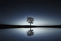 Simplifying Life