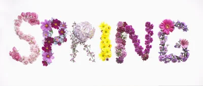 New Beginnings and Fresh Change This Spring