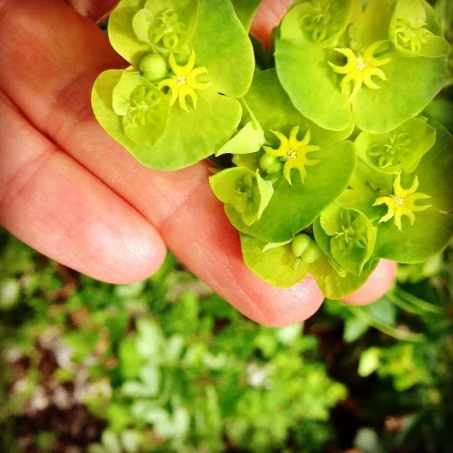 A Little Experiment, Because You're Selfish!