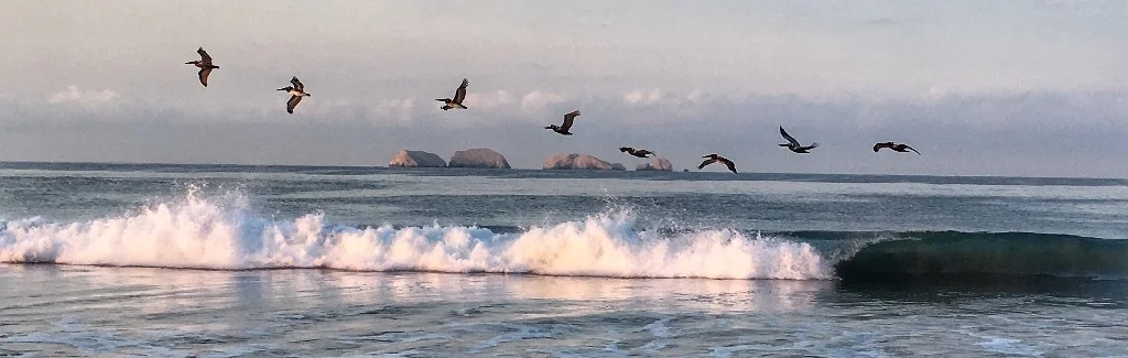 Sharing some Mexico with You