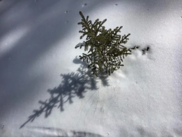 Sending Peace Your Way