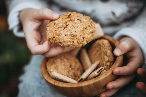 Oatmeal Cookie Without Oats!