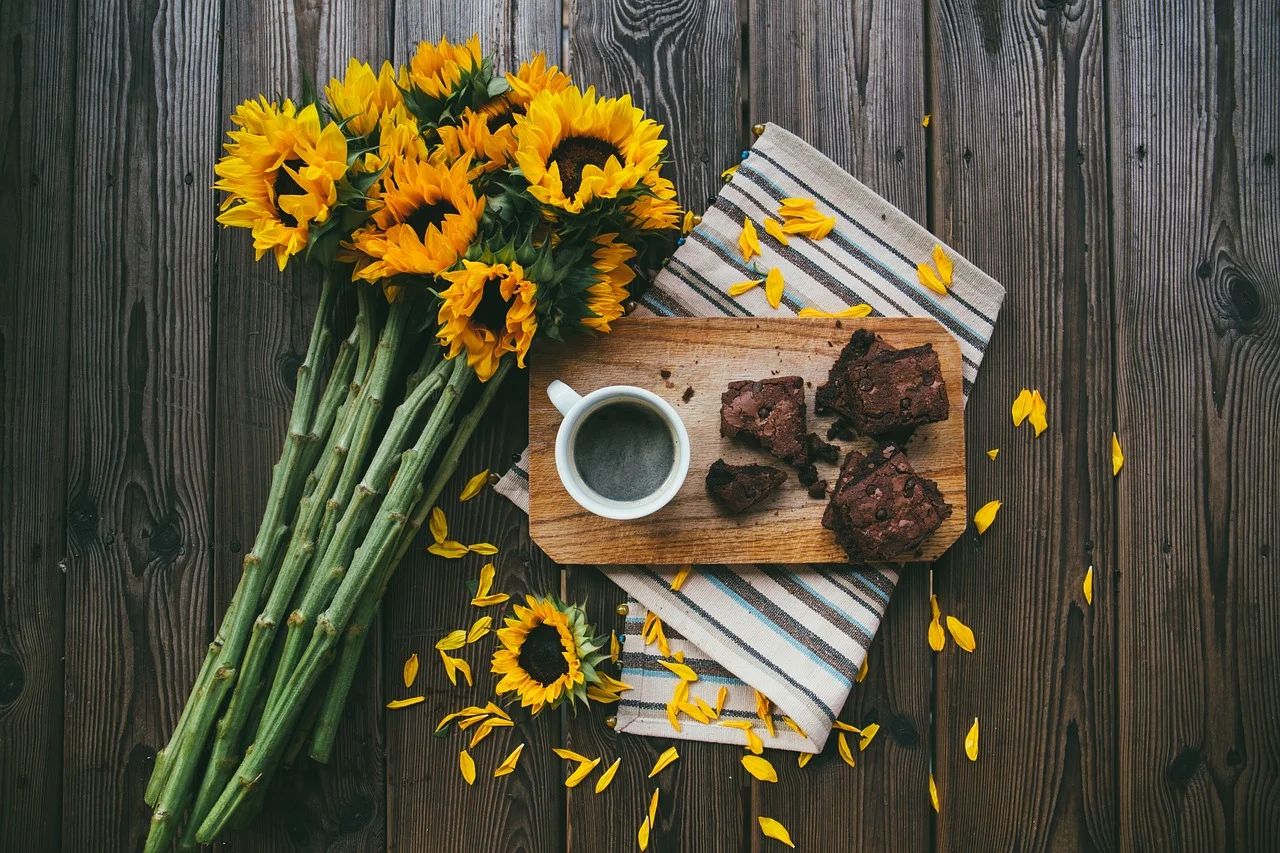 Vegan Zucchini Brownies
