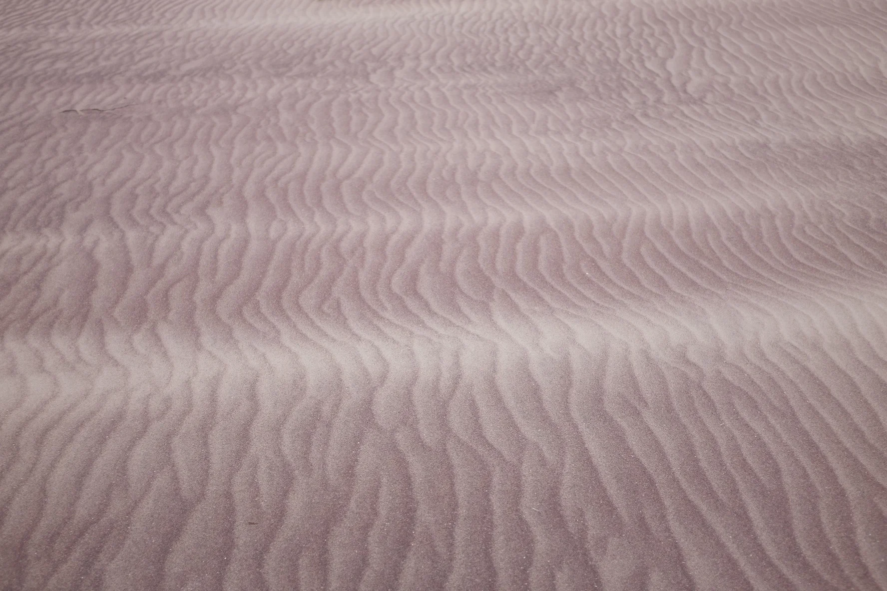   Holistic Health &amp; Wellness Coach  