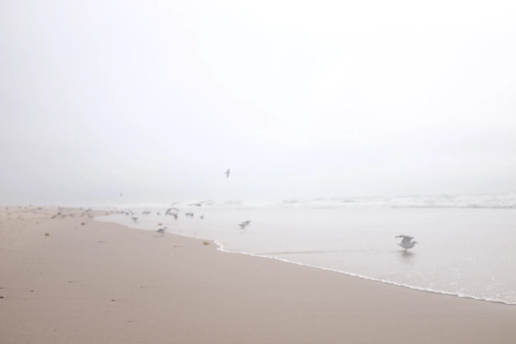   Feel at Home in Your Body, and Yourself  