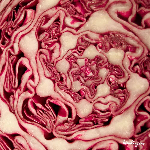 Red Cabbage Coleslaw