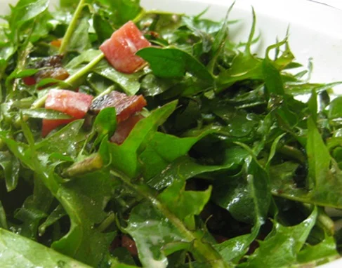 Dandelion Salad with Warm Hazelnut Vinaigrette