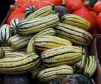 Delicata Tahini Squash