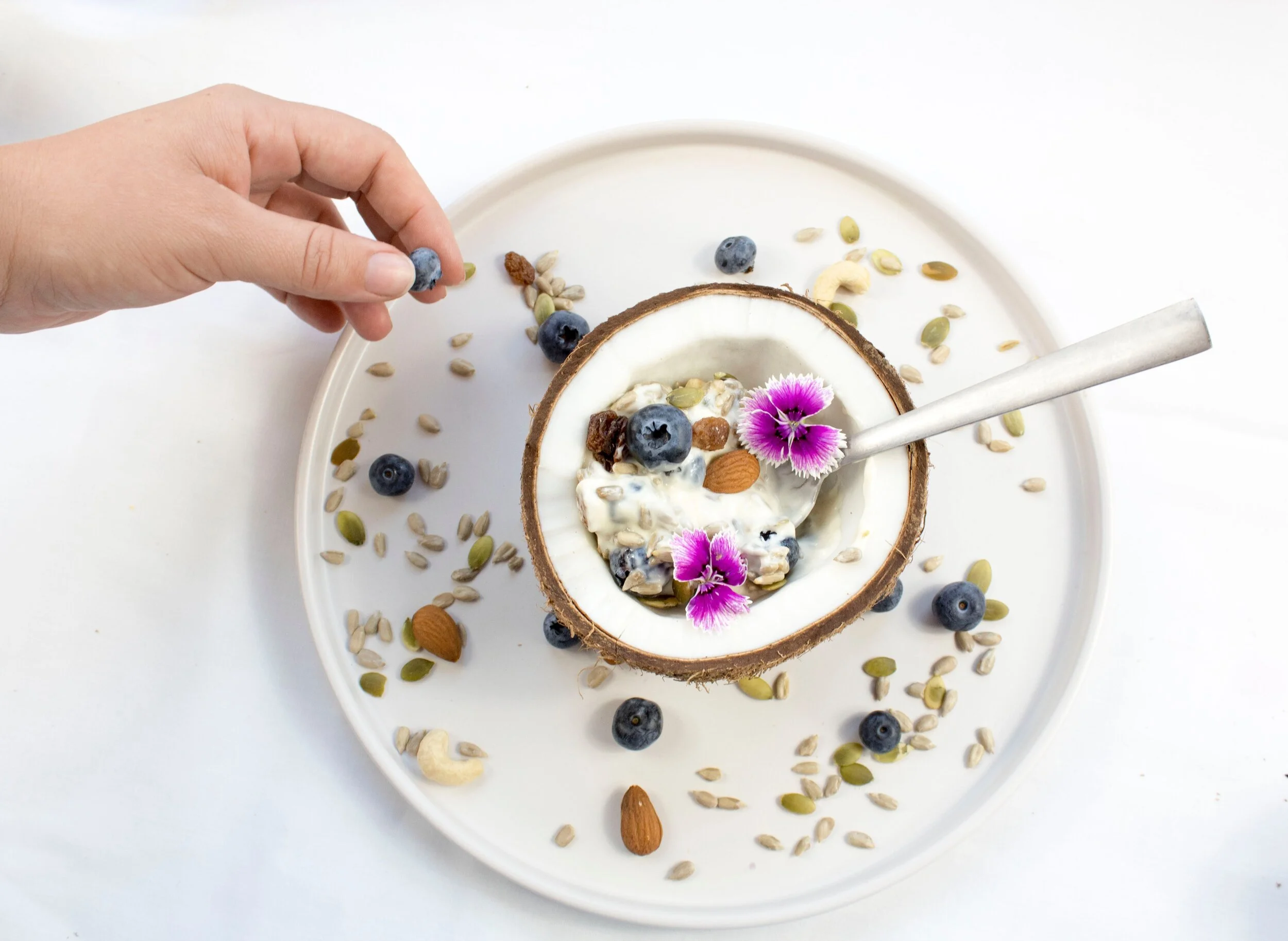 Homemade Coconut Yogurt