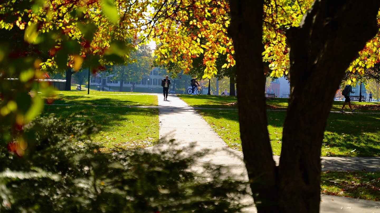 Foliage Photo

Dartmouth campus. 
Oct. 12, 2022