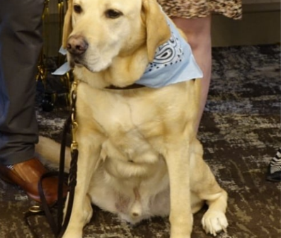 SHEP Connection Corner - October Newsletter