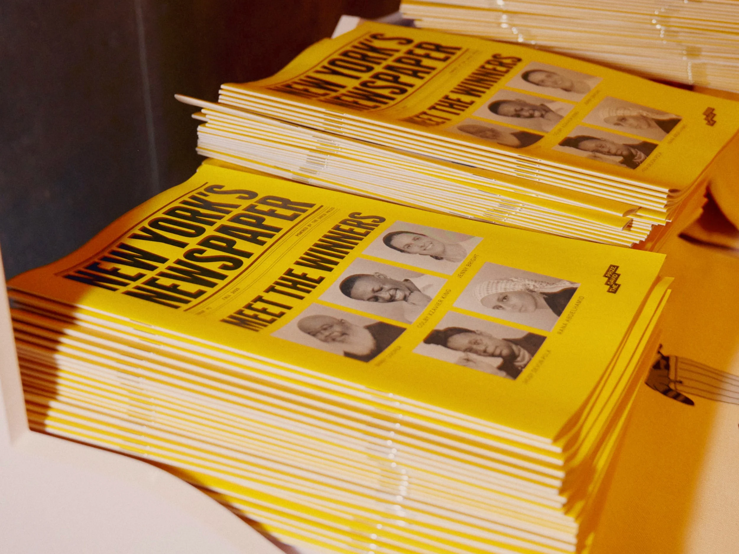 New York's Newspaper