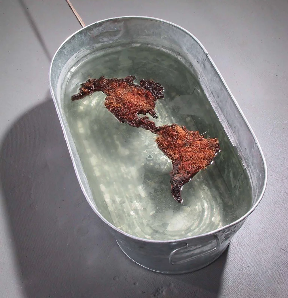 America | 2002 | Dimension varied | Galvanized aluminum tub, foam, corn hair, brown thread, and water