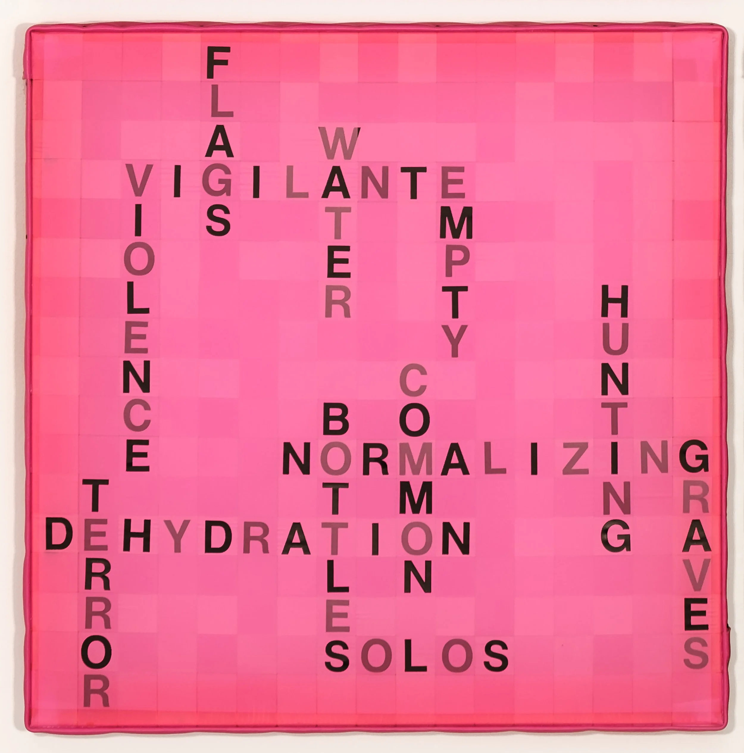 Solos_Pink1_Flags.jpg