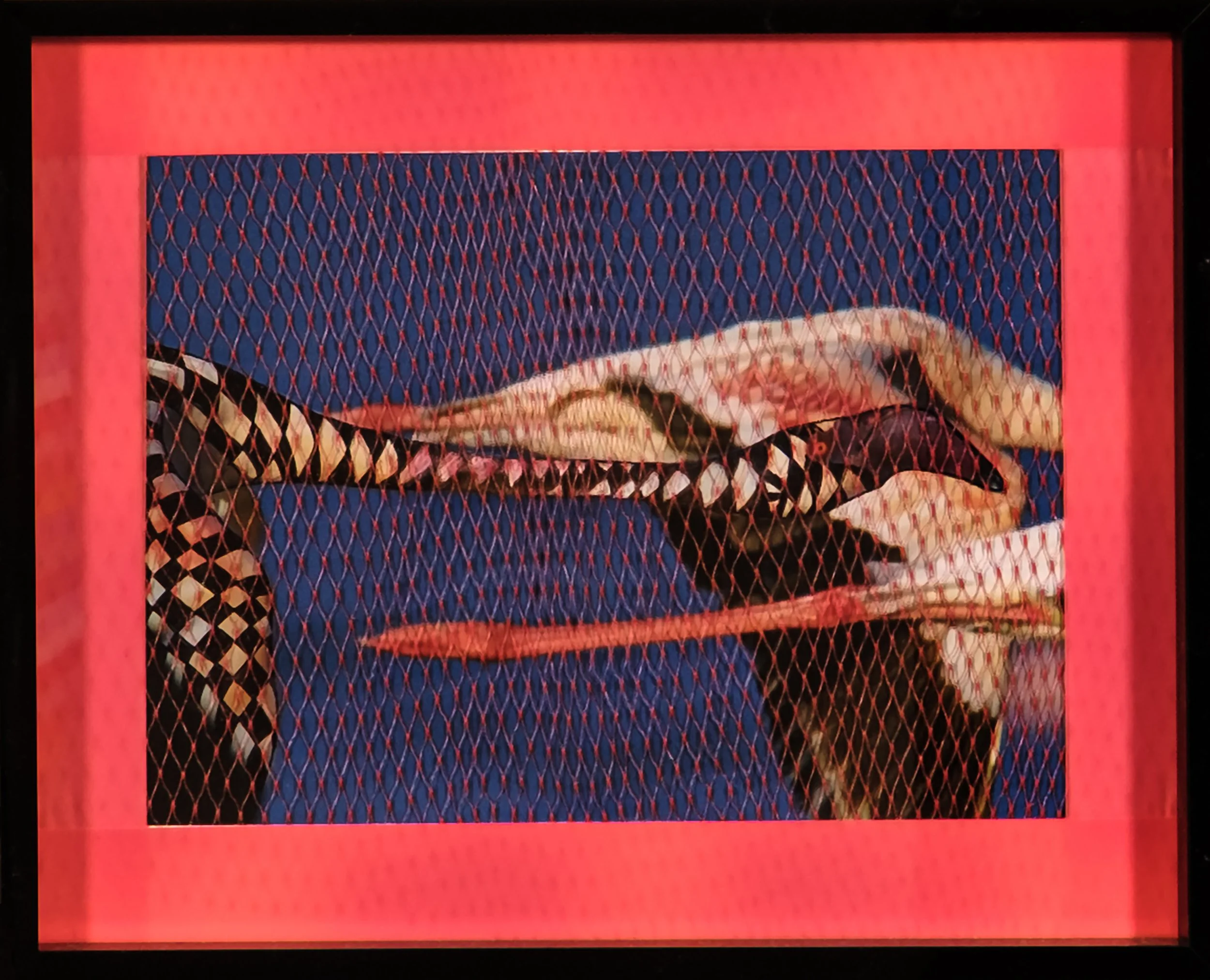 Migratory Birds Series | 2020 | 10 1/2" by 8 1/2" | Image of migratory bird, black ink, flag tape, plastic netting, and frame