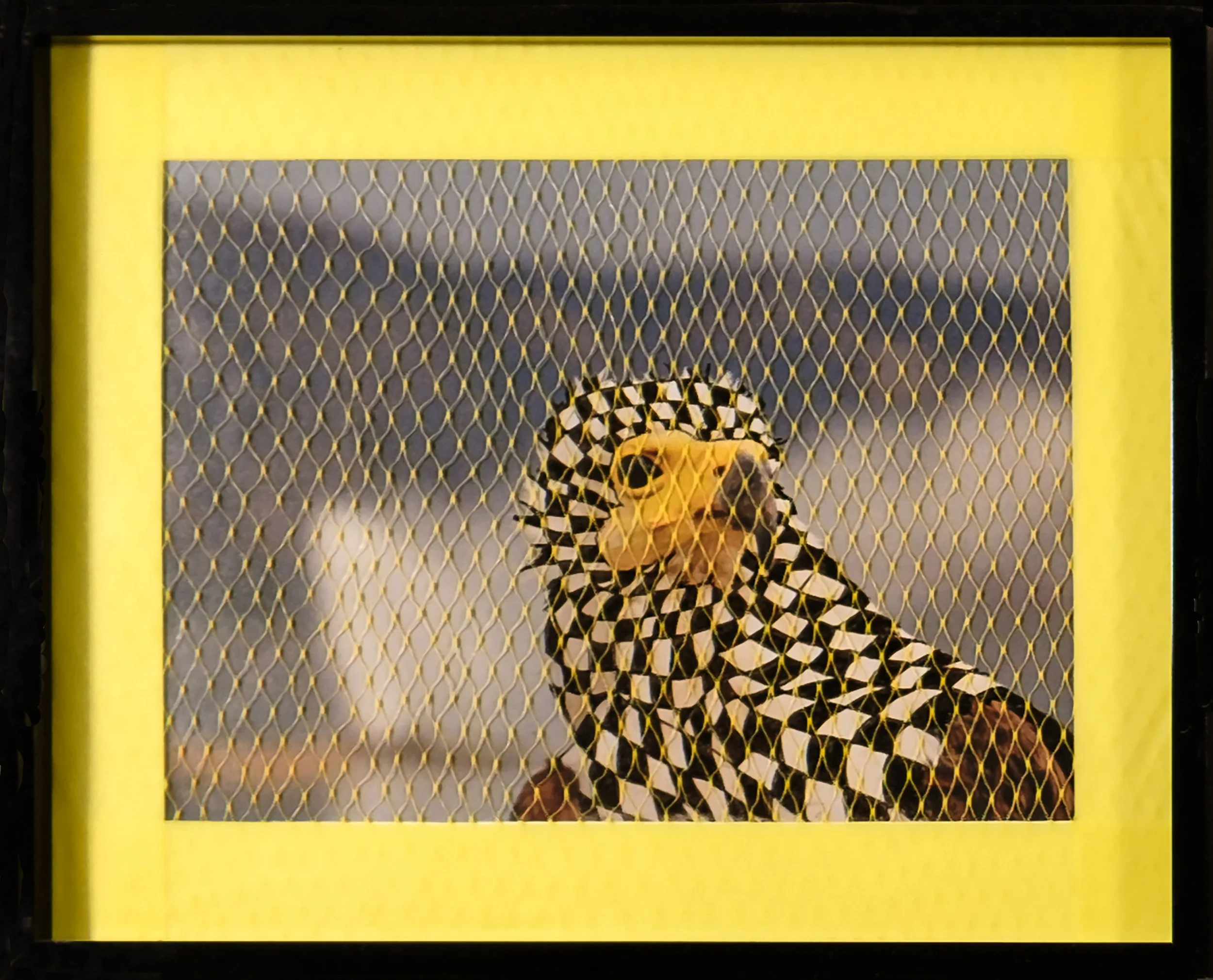 Migratory Birds Series | 2020 | 10 1/2" by 8 1/2" | Image of migratory bird, black ink, flag tape, plastic netting, and frame