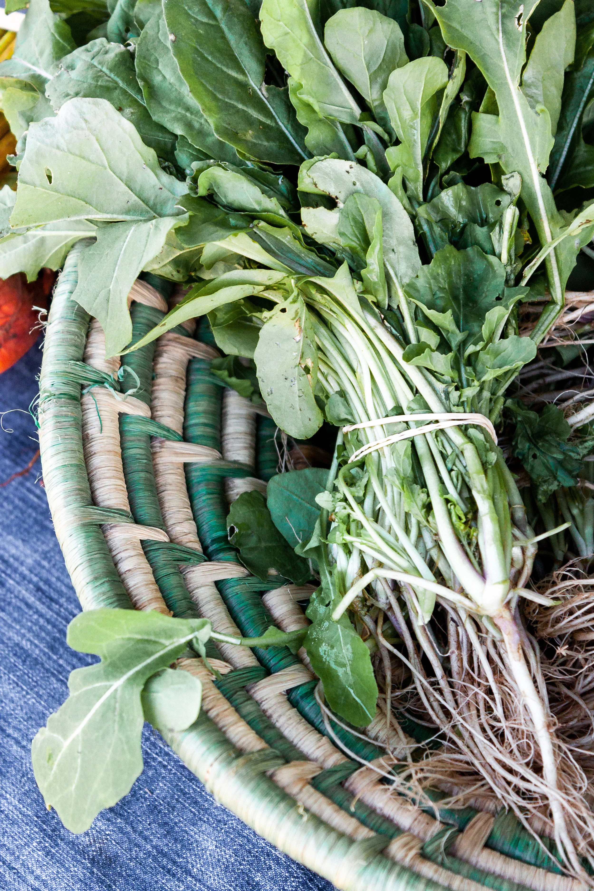 Country Spring Playlist