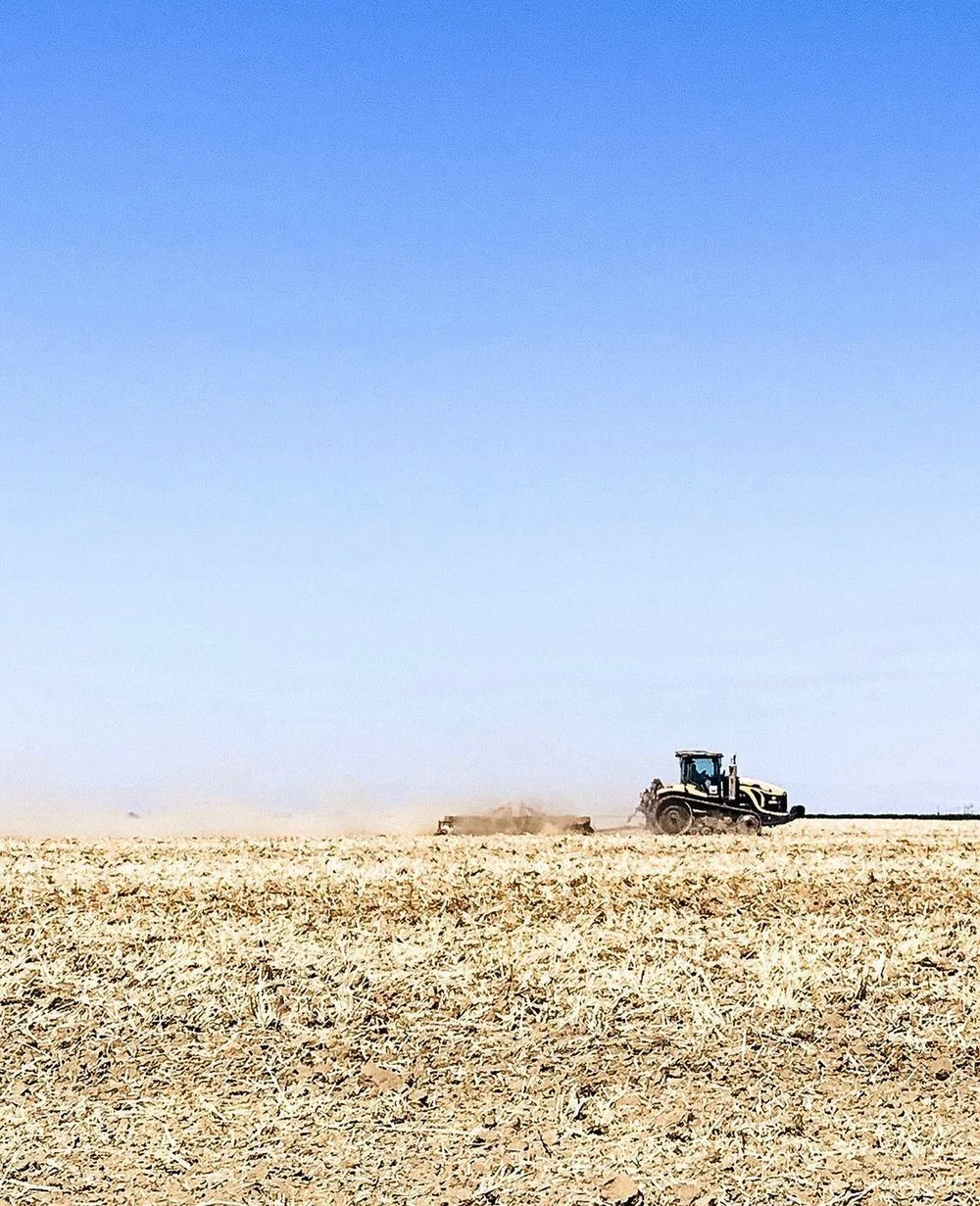 I love country music and each week I add new songs to my public playlists. The Summer Country music playlist is perfect for listening to at the beach, on a road trip or while you are driving a tractor 🚜 Listen now by heading to the link in my bio!
.